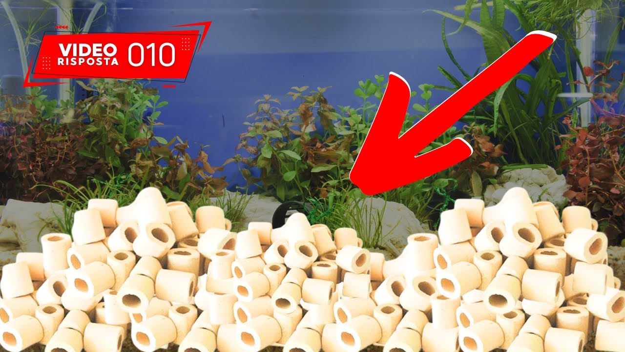 Cannolicchi sul fondo dell’acquario? Servono? - VIDEO RISPOSTA 010