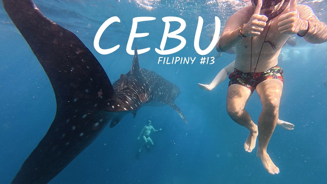 🇵🇭 #13 REKINY WIELORYBIE W OSLOB I SARDYNKI W MOALBOAL | CEBU, FILIPINY | VLOG