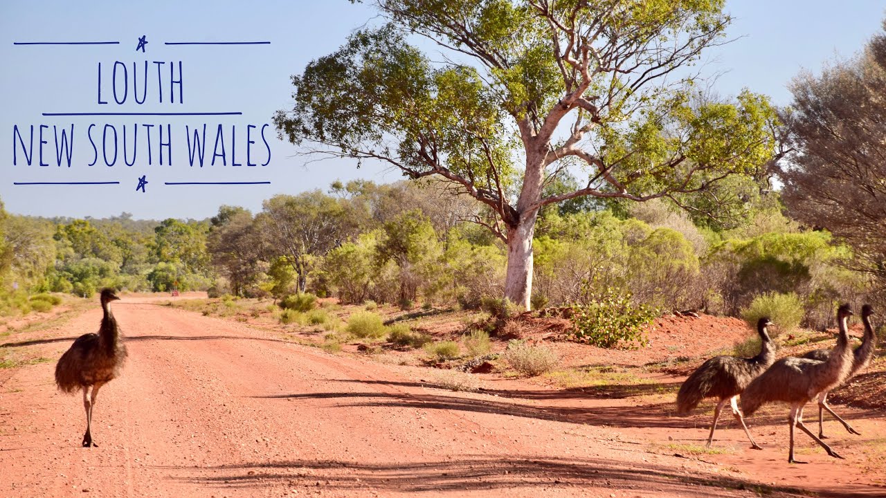 Louth New South Wales