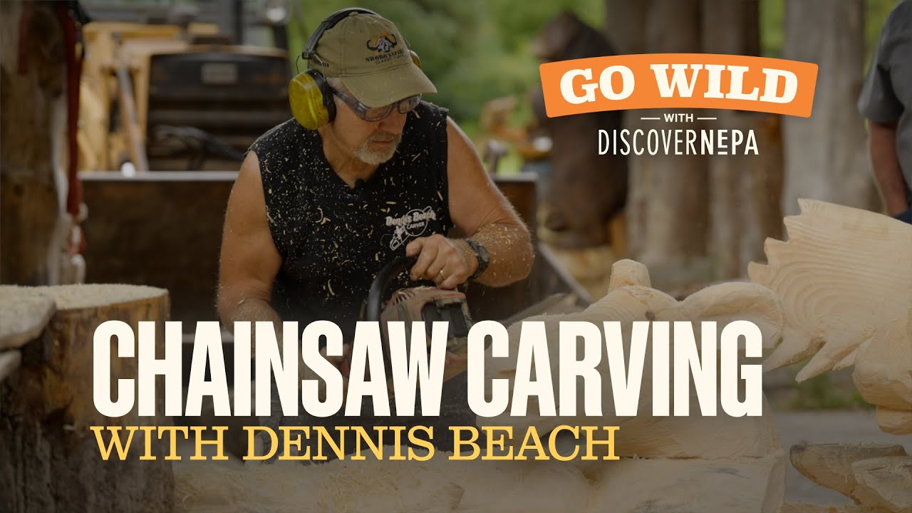 GO WILD with DiscoverNEPA: Chainsaw Carving with Dennis Beach | Wapwallopen, PA