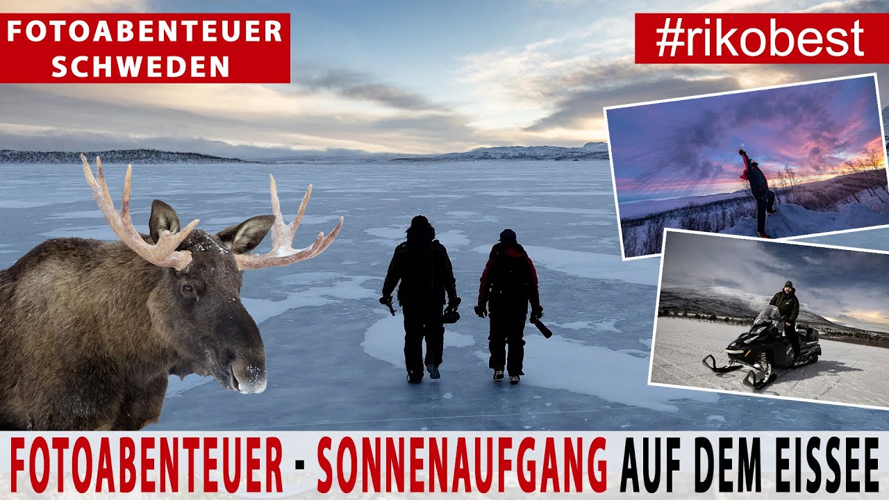 Sonnenaufgang fotografieren auf Eissee in Schweden - unheimliche Begegnung mit Elch - Fotowalk