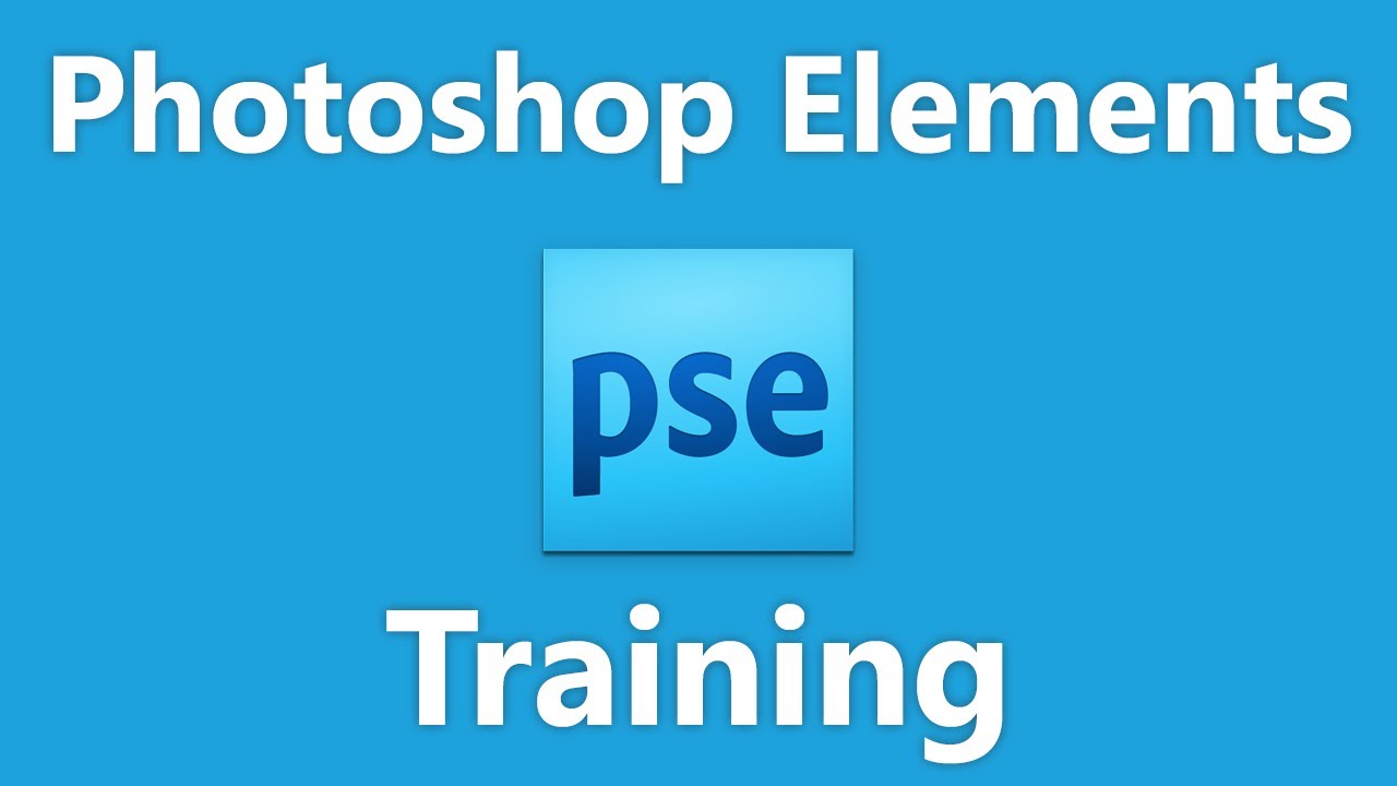 Learn About the Organizer Environment in Adobe Photoshop Elements 2022: A Training Tutorial