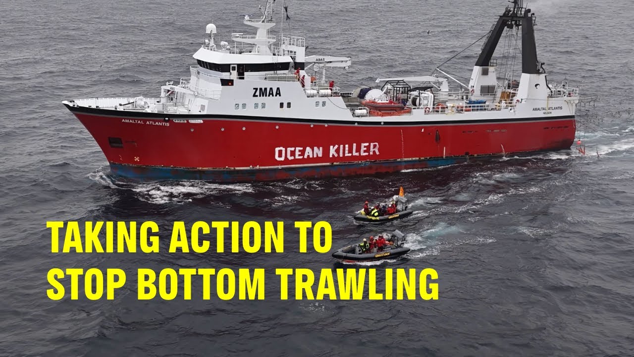 Action to Stop Bottom Trawling