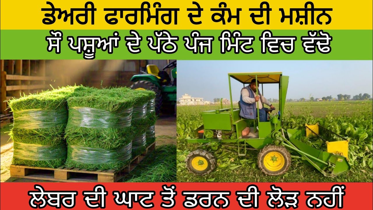 Fodder Cutting Machine। ਸੌ ਪਸ਼ੂਆਂ ਦੇ ਪੱਠੇ ਪੰਜ ਮਿੰਟ ਵਿਚ ਵੱਢੋ। ਡੇਅਰੀ ਫਾਰਮਿੰਗ ਦੇ ਕੰਮ ਦੀ ਮਸ਼ੀਨ