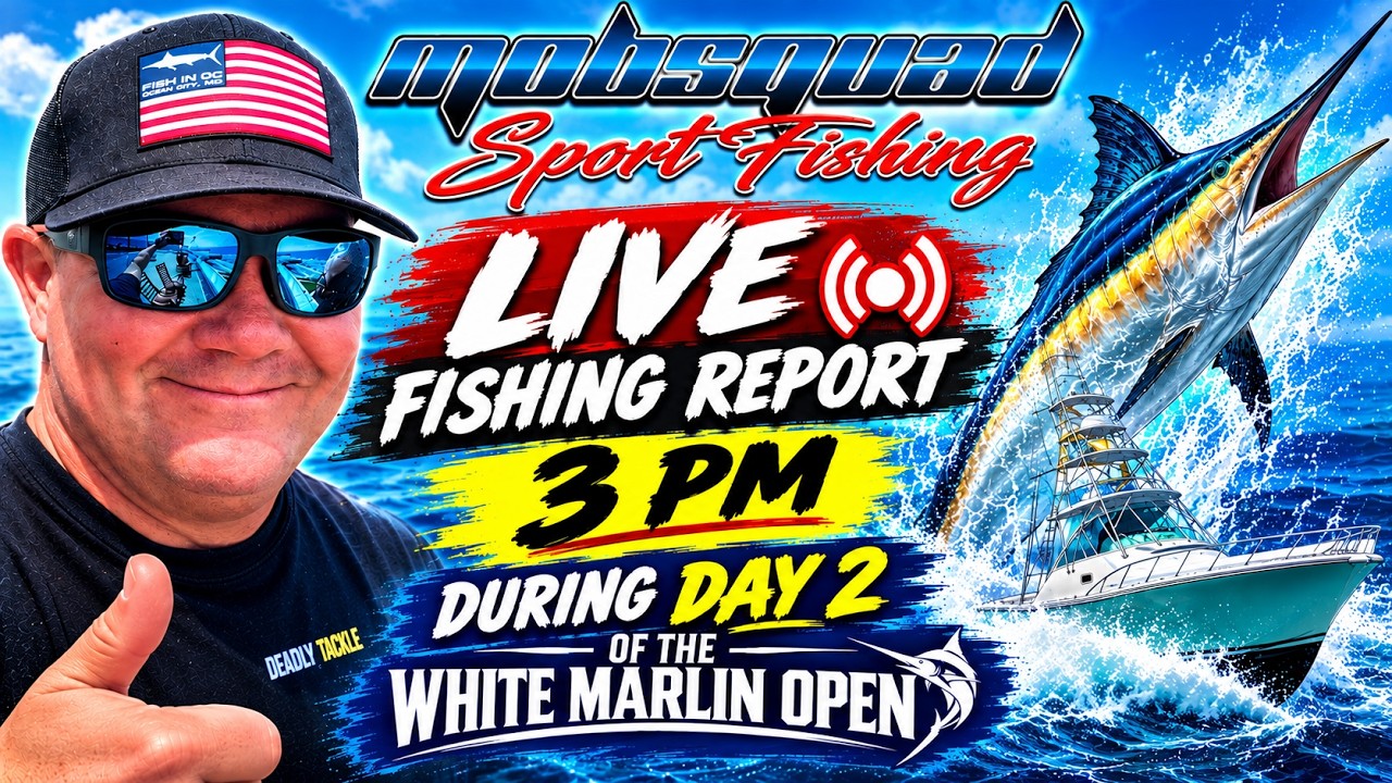 Обновление в 15:00: команда MobSquad на рыбалке во второй день White Marlin Open