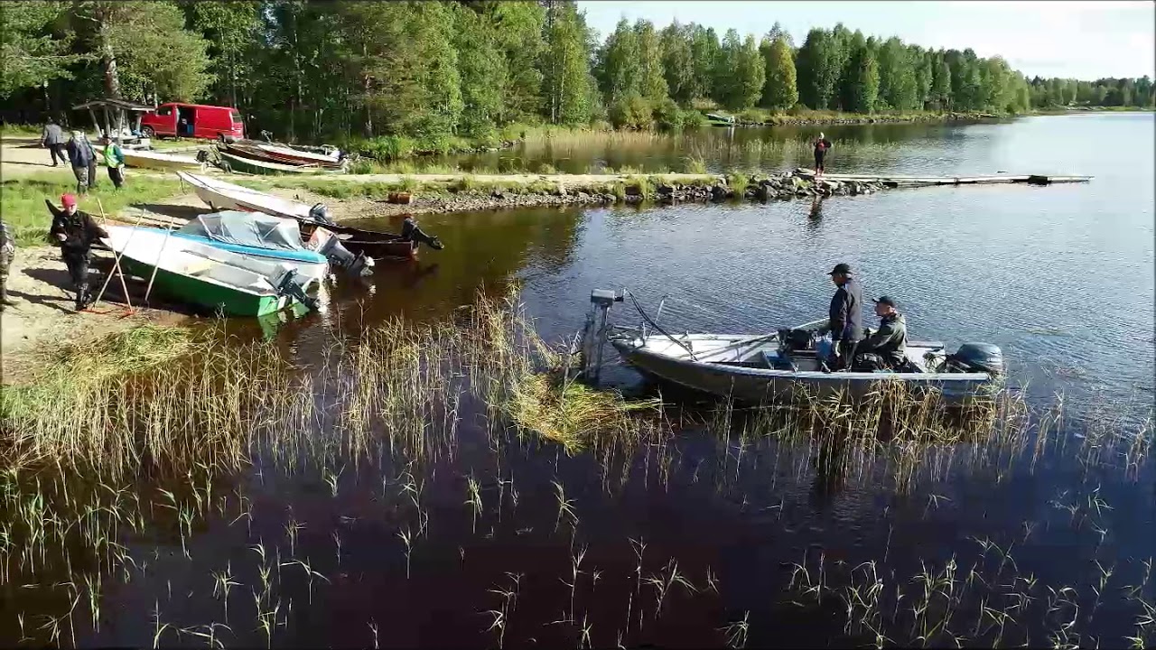 Vesikasvien niittonäytös