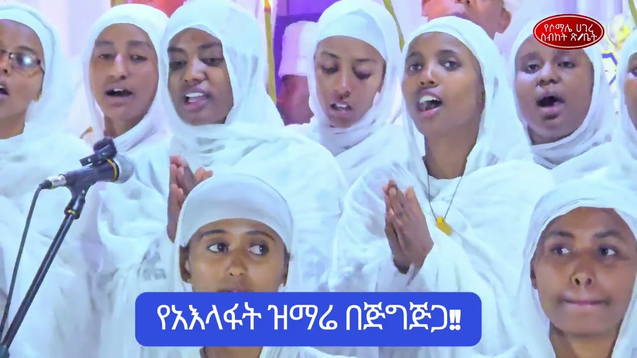 ቤተ ክርስቲያንን አንተውም ከቶ!!