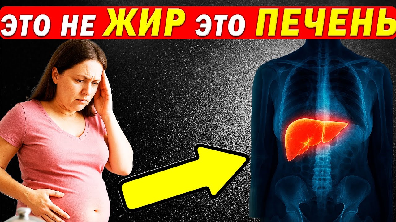 “Живот растёт НЕ ИЗ-ЗА еды — А из-за ПЕЧЕНИ.