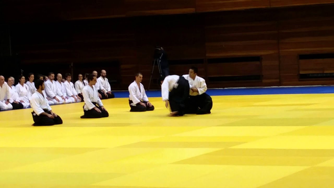 Waka Sensei's demonstration in Bulgaria 2015 - Uke Holevas Nikos (among others)
