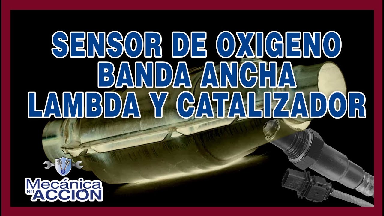 Sensor de Oxigeno Banda ancha Lambda y el catalizador