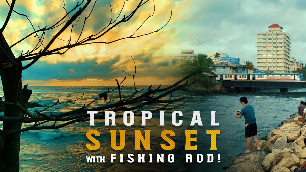 Tropical Sunset with Fishing Rod! | Colombo | Sri Lanka