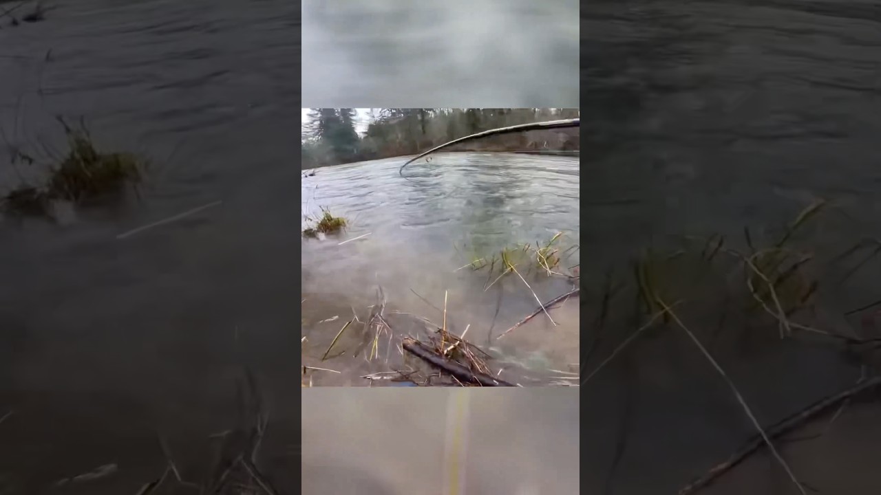 Winter Steelhead Season IS HERE