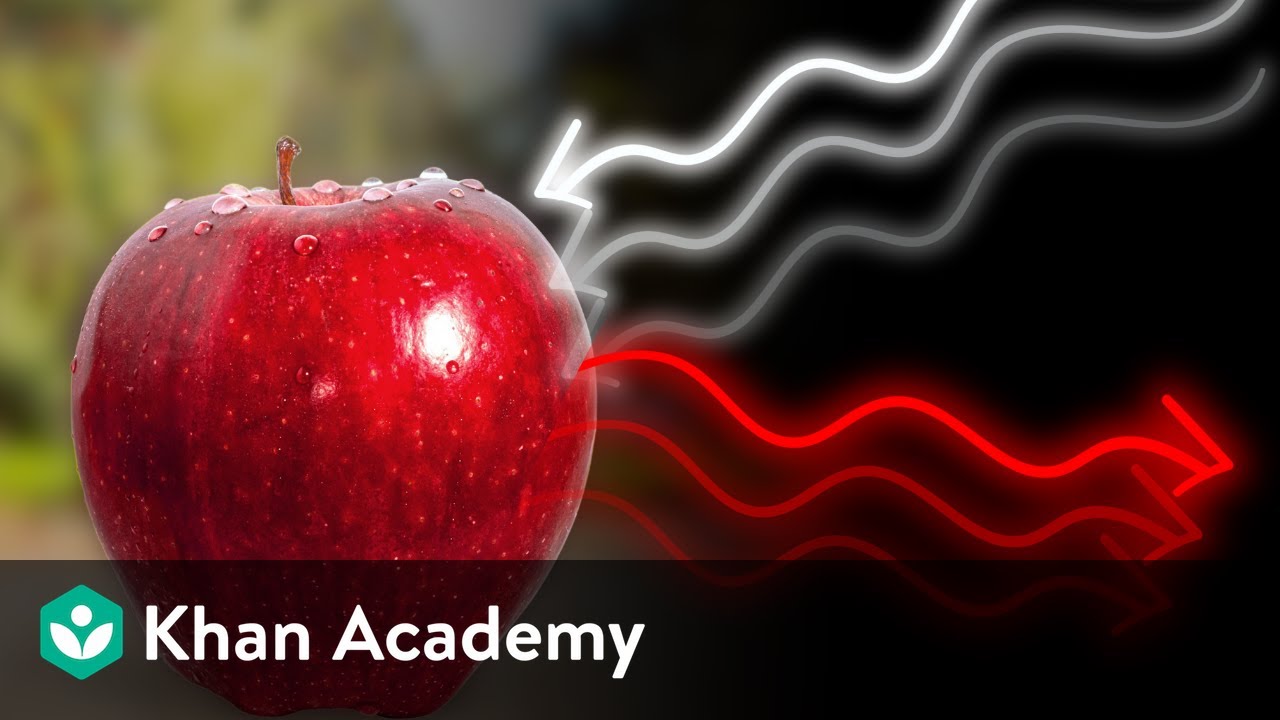 Electromagnetic waves and matter | Middle school physics | Khan Academy