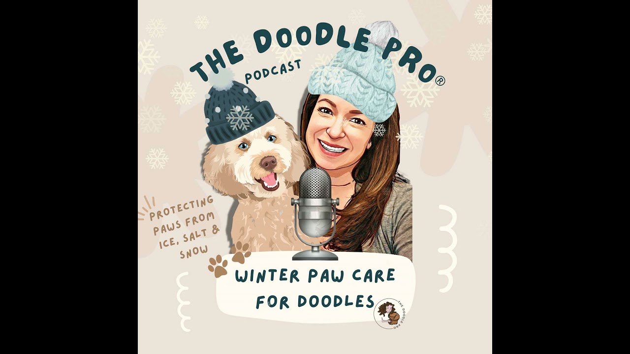 Too Cold to Walk? Winter Paw Care, Potty Breaks, and Indoor Calm for Doodles