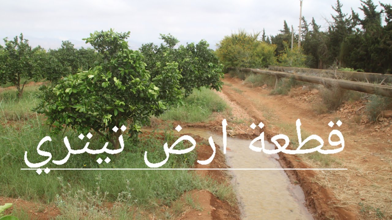 قطعة أرض للبيع فيها  2هكتار  و 58 بركان للمزيد من المعلومات الاتصال +33 7 58 58 03 33  0667039653