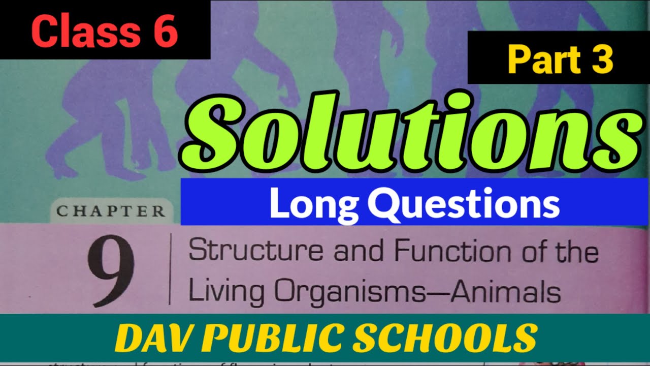 Dav class 6 Science chapter 9 solutions part 3 long Questions answers