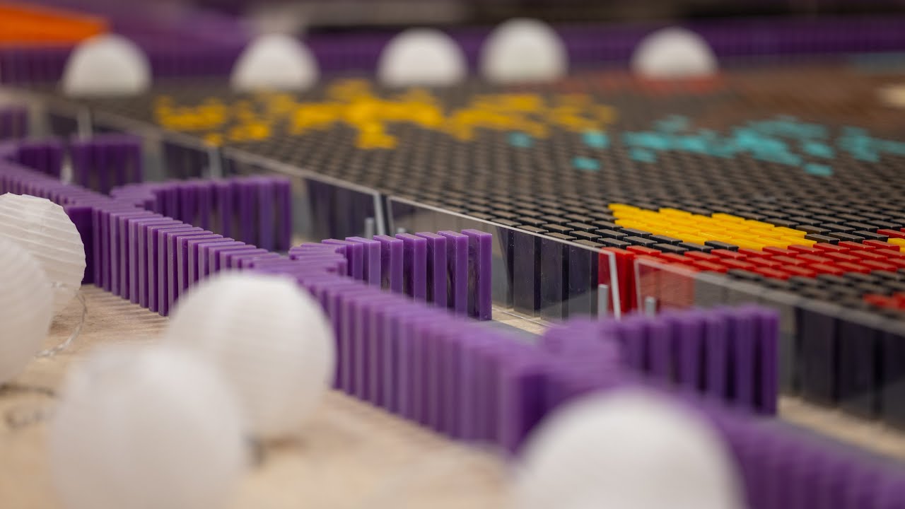 United in Differences | 175,000 dominoes | WDT 2021