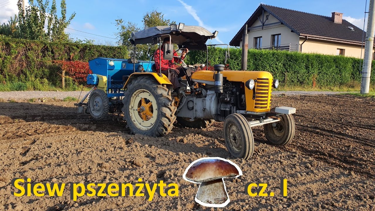 Siew pszenżyta Borowik ~20a | Zetor 25330 + Poznaniak 2m (Kutnowiak) S068/1 || VLOG #23 ||