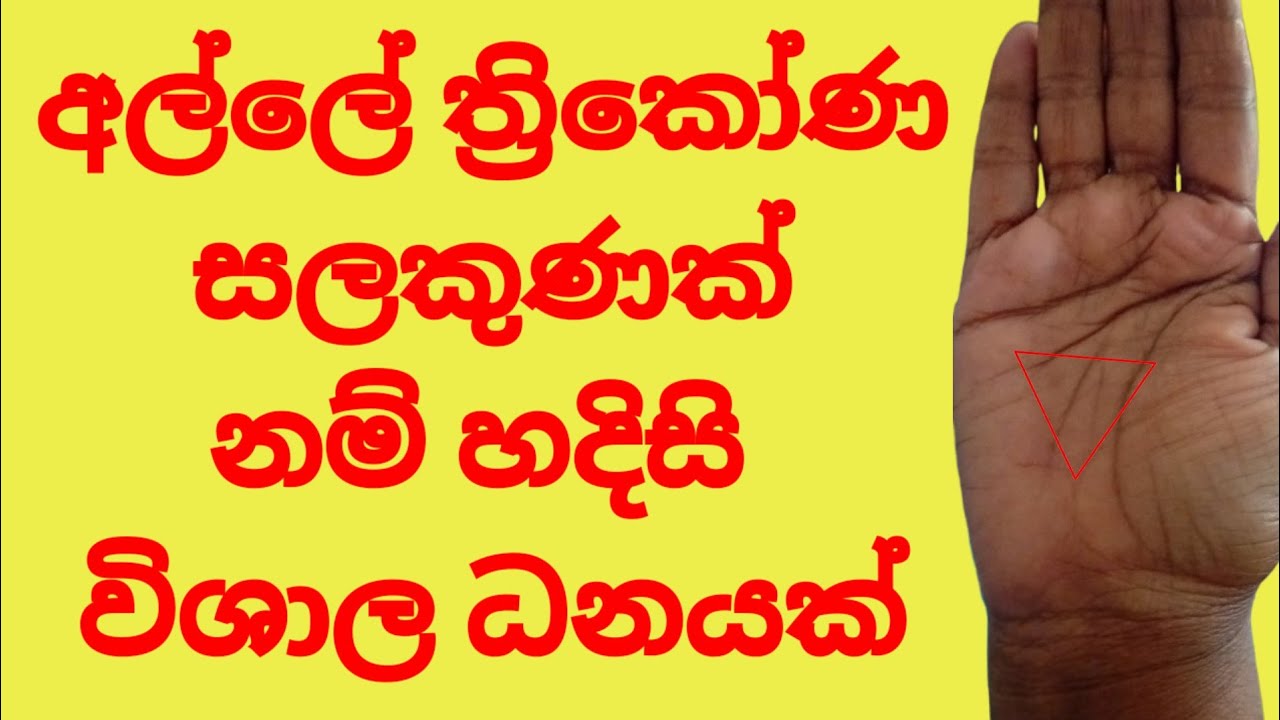 අල්ලේ ත්‍රිකෝණයක් නම් විශාල ධනයක්