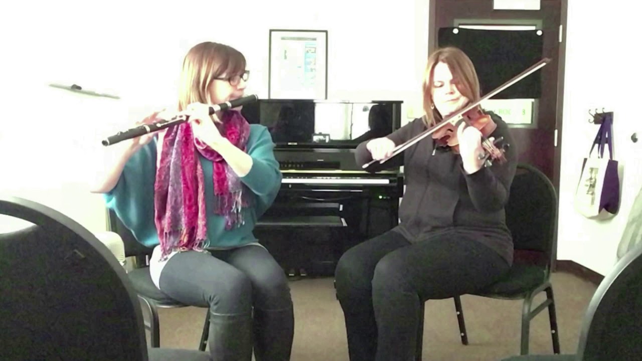 06 - Hornpipes - The Concertina & Plains of Boyle