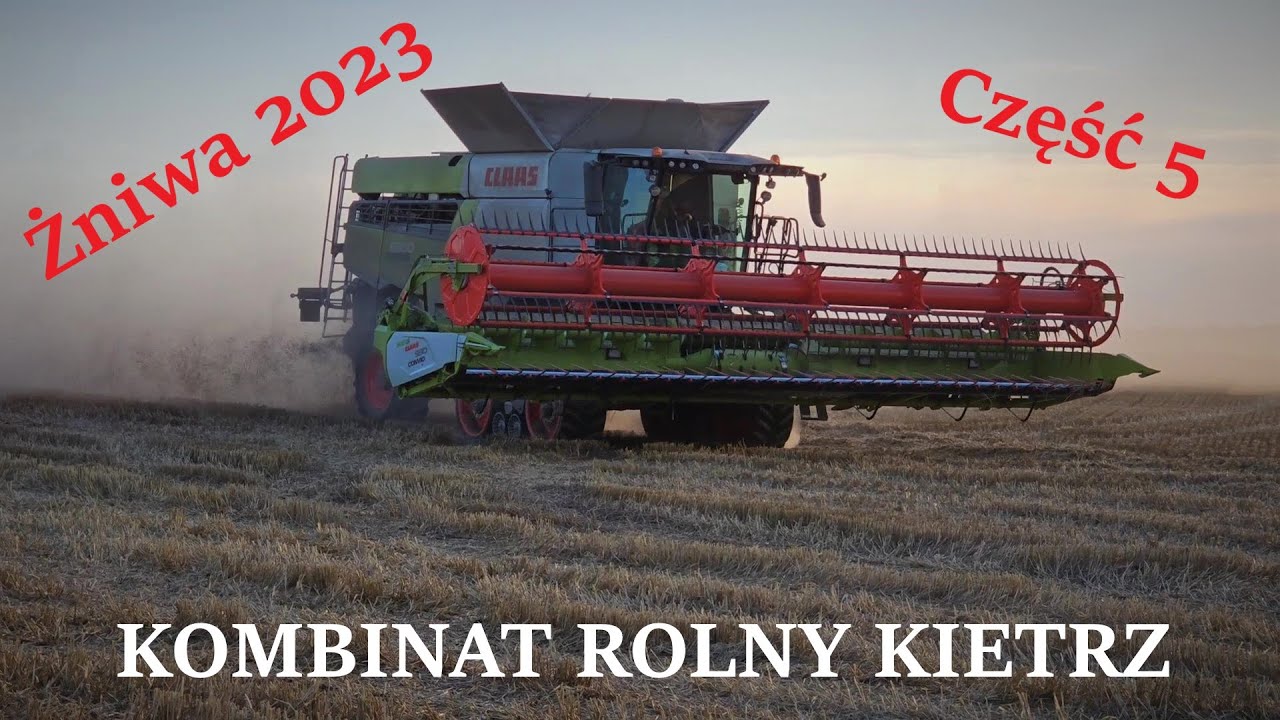 Żniwa 2023 Kombinat Rolny Kietrz| Relacja ze żniw| cz.5 Zbiór pszenicy ozimej Wieczorny zjazd z pola