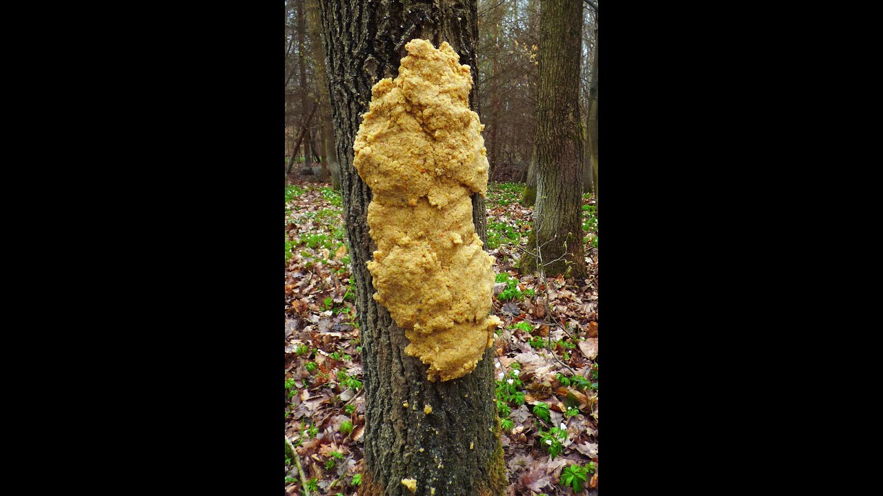 VÝROBA SOLNÉ - VNADÍCÍ PASTY