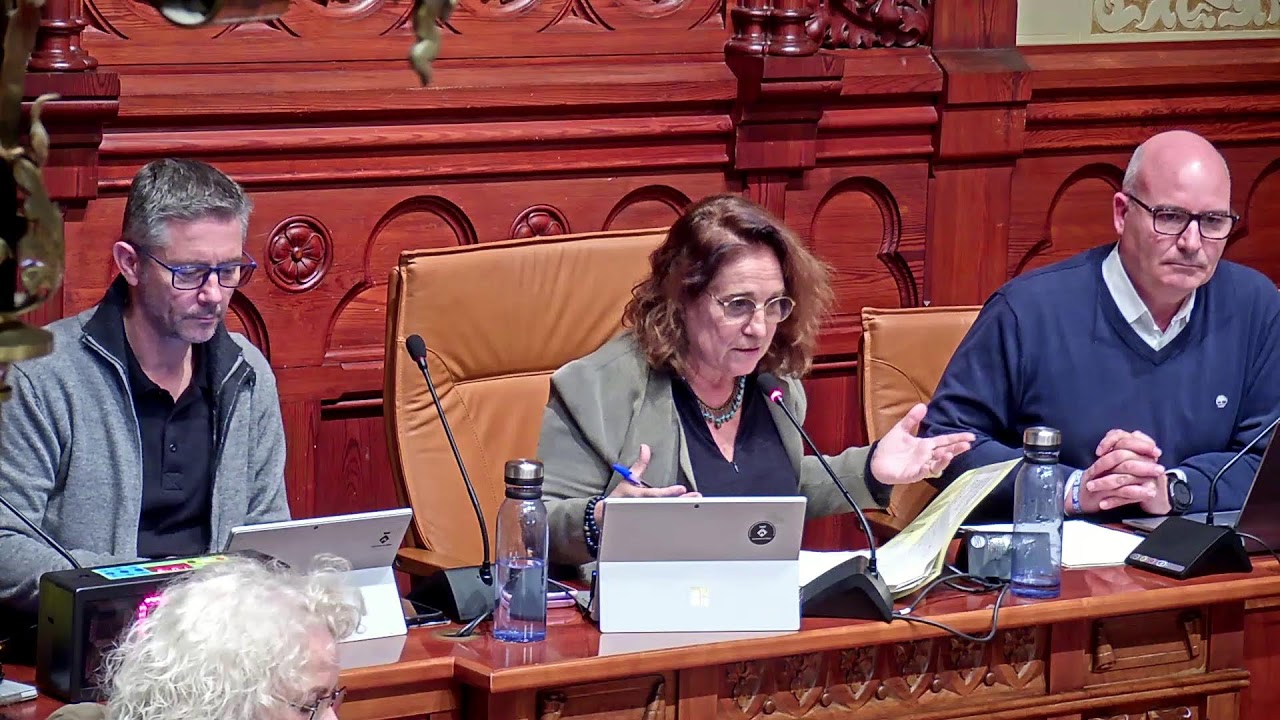 Ple ordinari de novembre