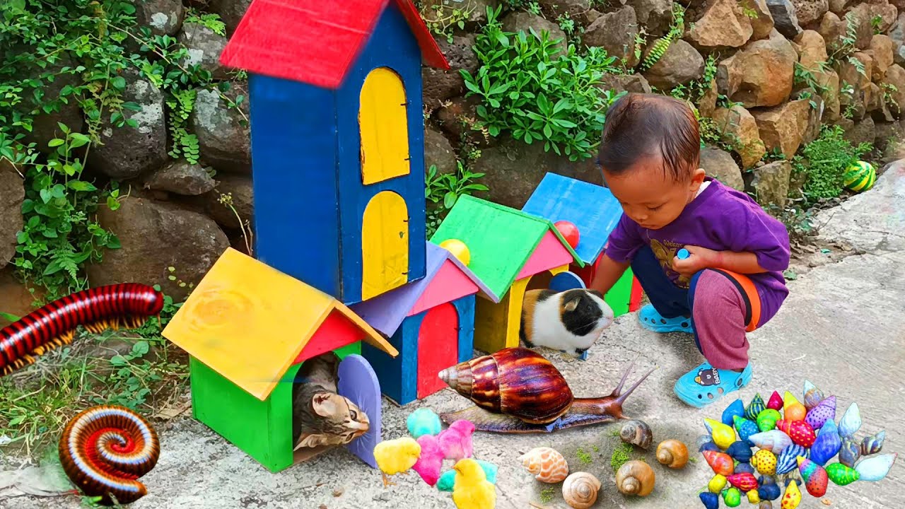 Petualangan Seru Menemukan Keong Bekicot, Luwing Kaki Seribu, dan Ayam Warna-warni di Taman