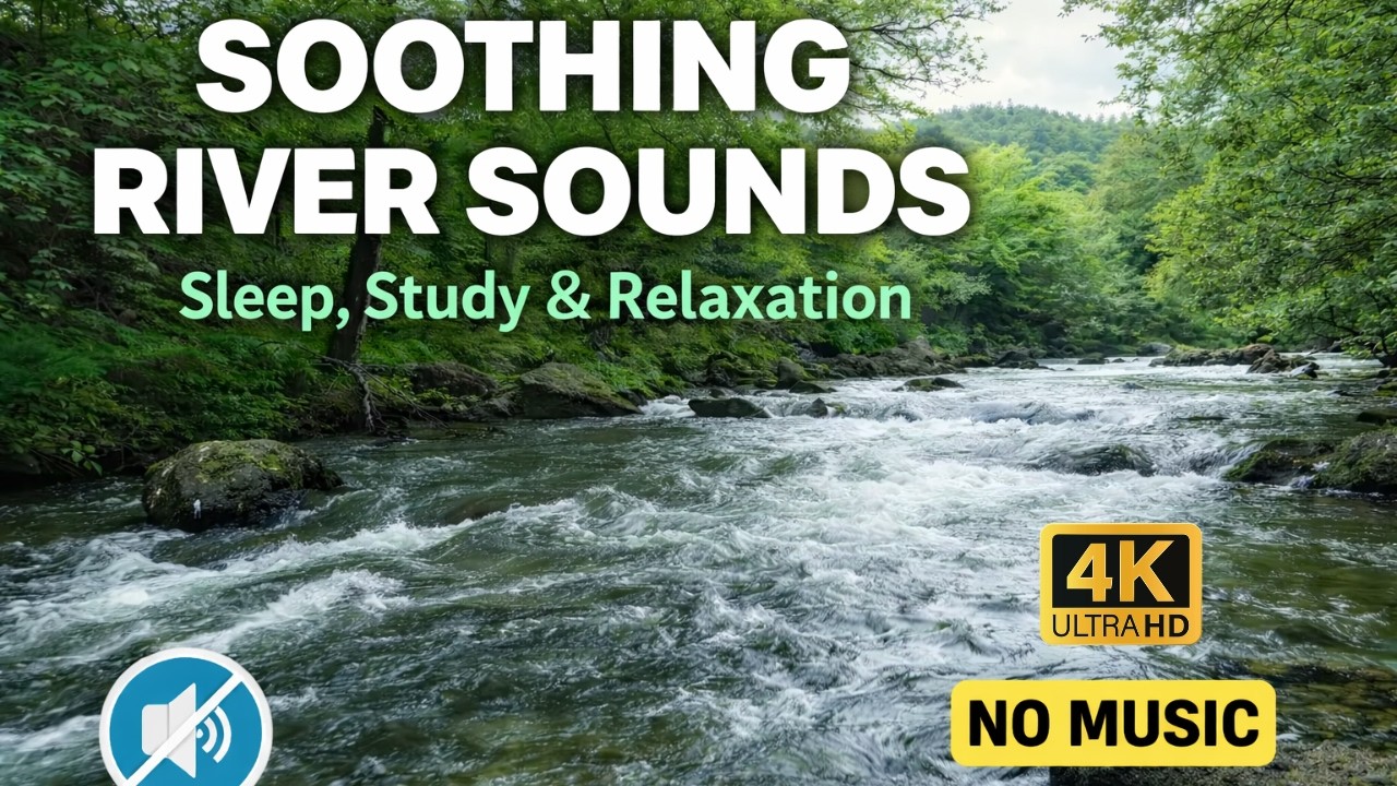 River Sounds for Sleeping 🌙 | Calm Mind, Deep Rest ASMR