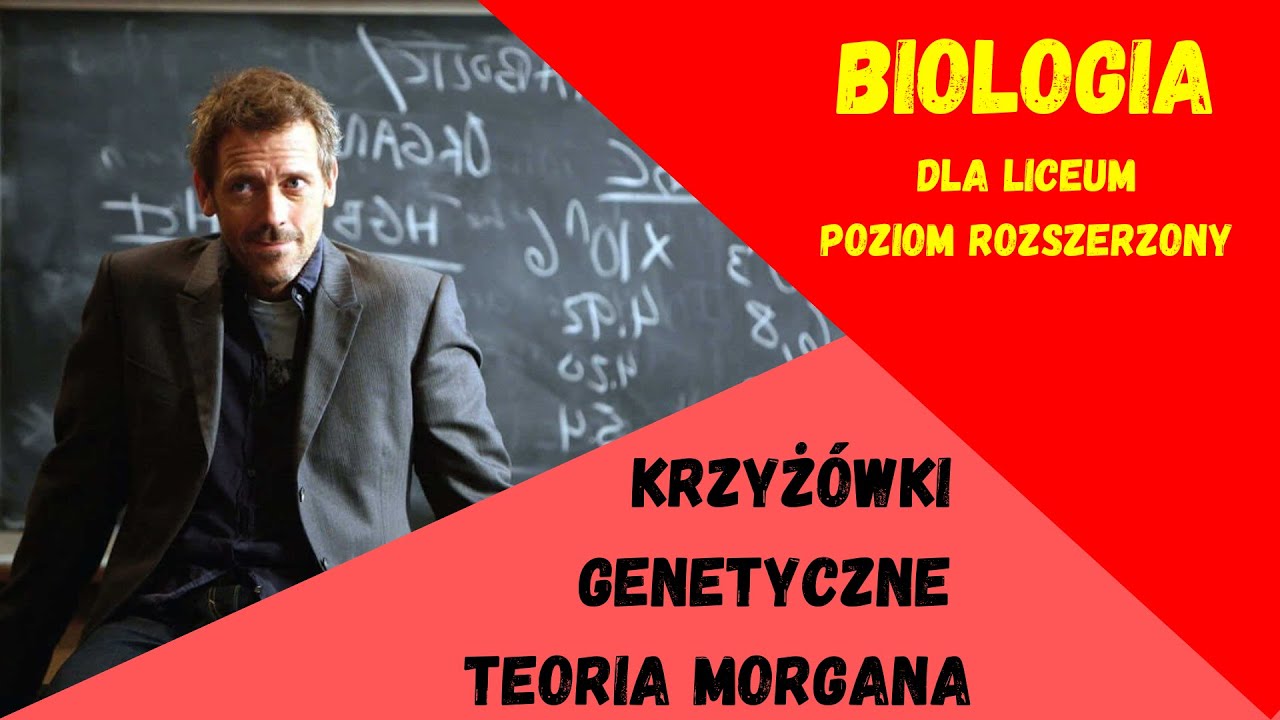 Dziedziczenie, teoria Morgana. Biologia rozszerzona do matury. #matura
