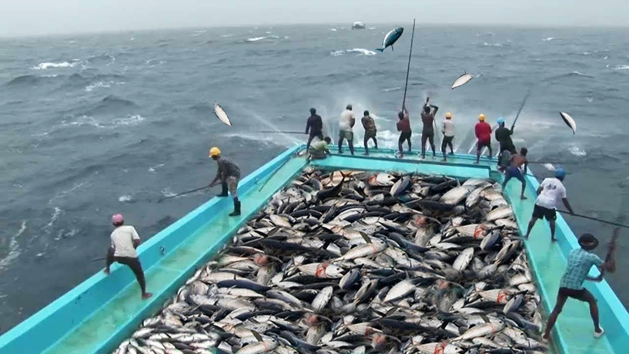 Incre&iacute;ble Habilidad De Pesca De At&uacute;n R&aacute;pido, Demasiados Peces! Captura De At&uacute;n En El Mar Grande 2018