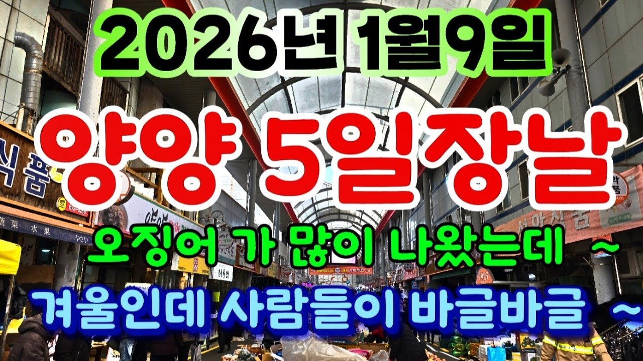 강원도 양양 5일장날  /  오징어 가 많이 나왔는데 생각보다 비싸네요 평일인데 사람들 많네요 