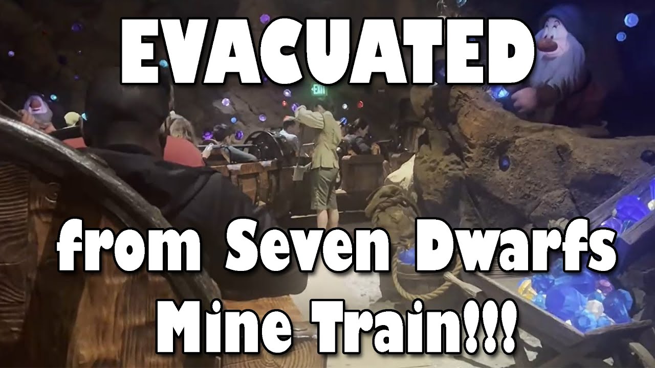 EVACUATED from the Seven Dwarfs Mine Train!! - Lights on, no effects - Disney Christmas 2022