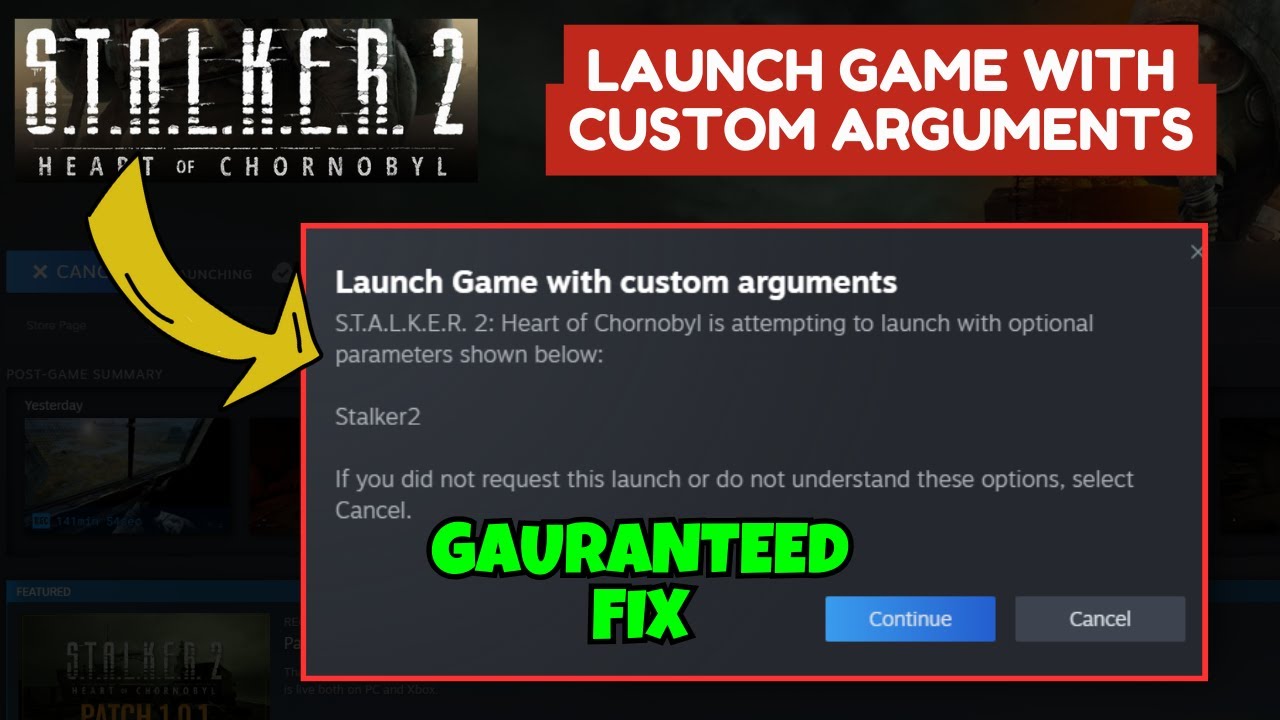 Stalker 2 launch game with custom arguments Steam Fix