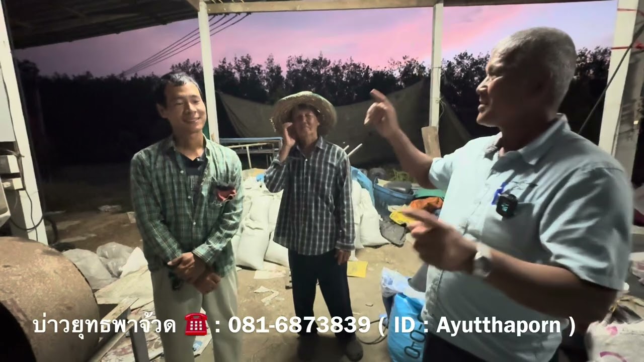 ธาตุอาหารพืช 16 ธาตุ ปุ๋ยเคมีต้องหมักให้จุลินทรีย์ 15 พด. ช่วยเพิ่มประสิทธิภาพอย่างไร | อาจารย์พรต