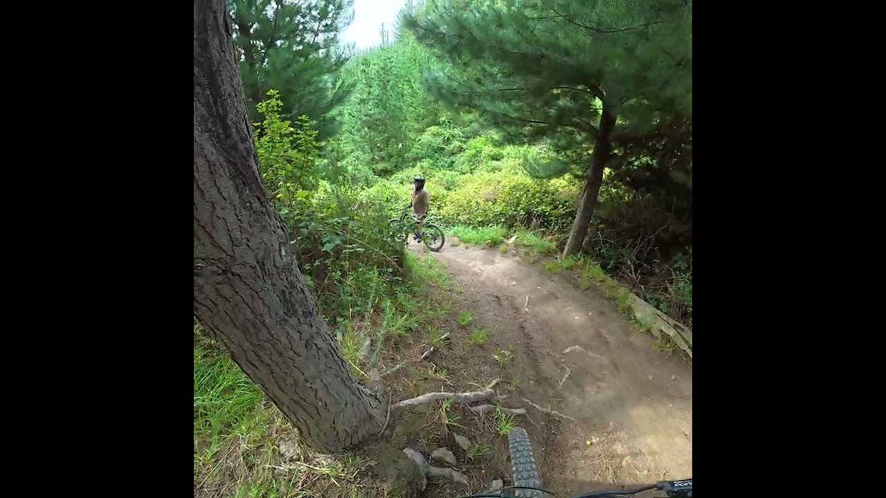 Wasted forearms at Christchurch Adventure Park