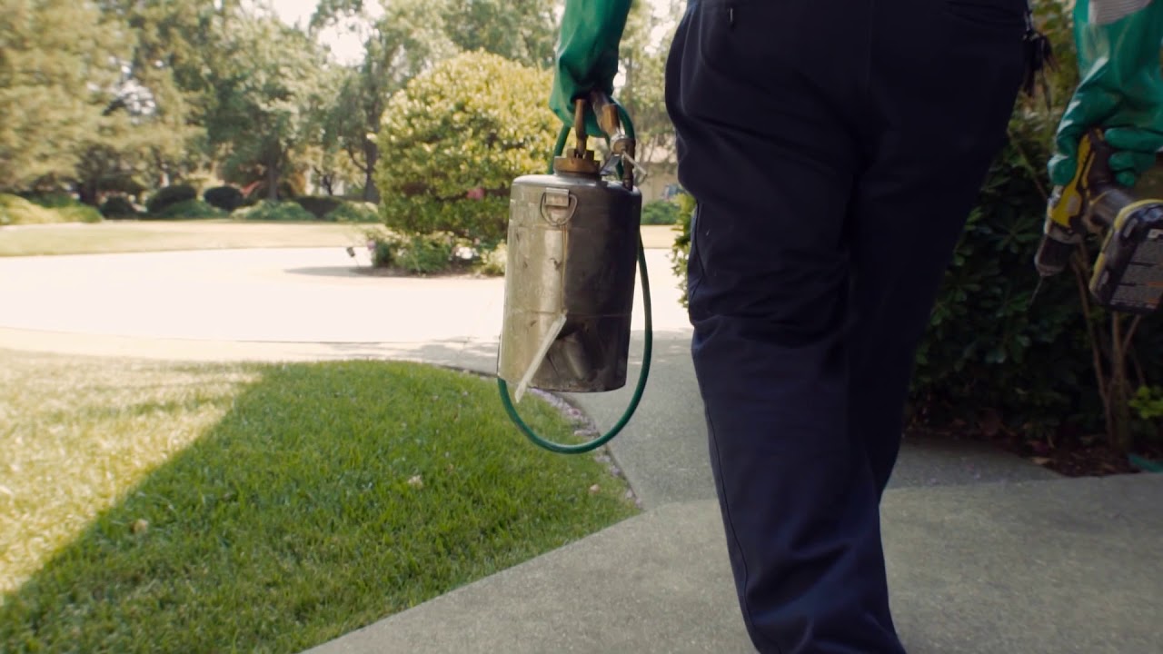 The Local Guys Termite and Pest Control Woodland