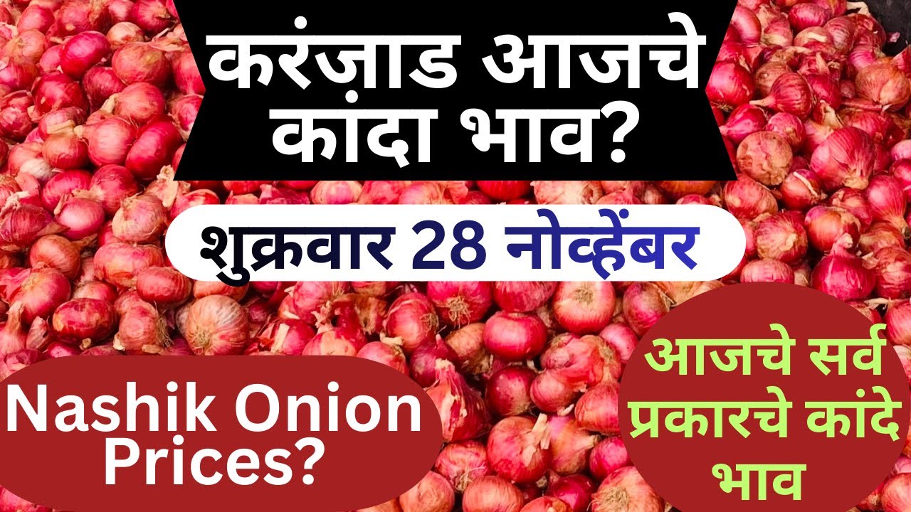 Karnjad Onion Price Today/28 November Nashik Onion Prices And Mandi Insights