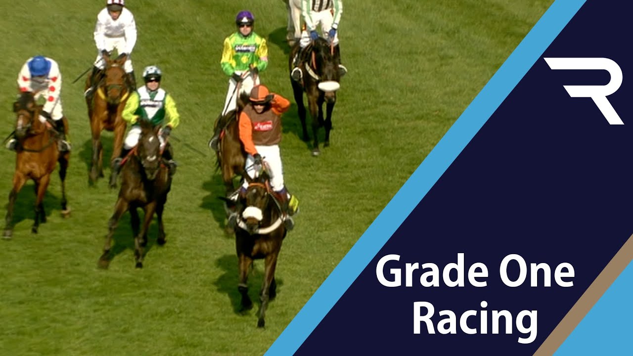 LONG RUN reigns supreme in a classic renewal of the 2011 Cheltenham Gold Cup- Racing TV