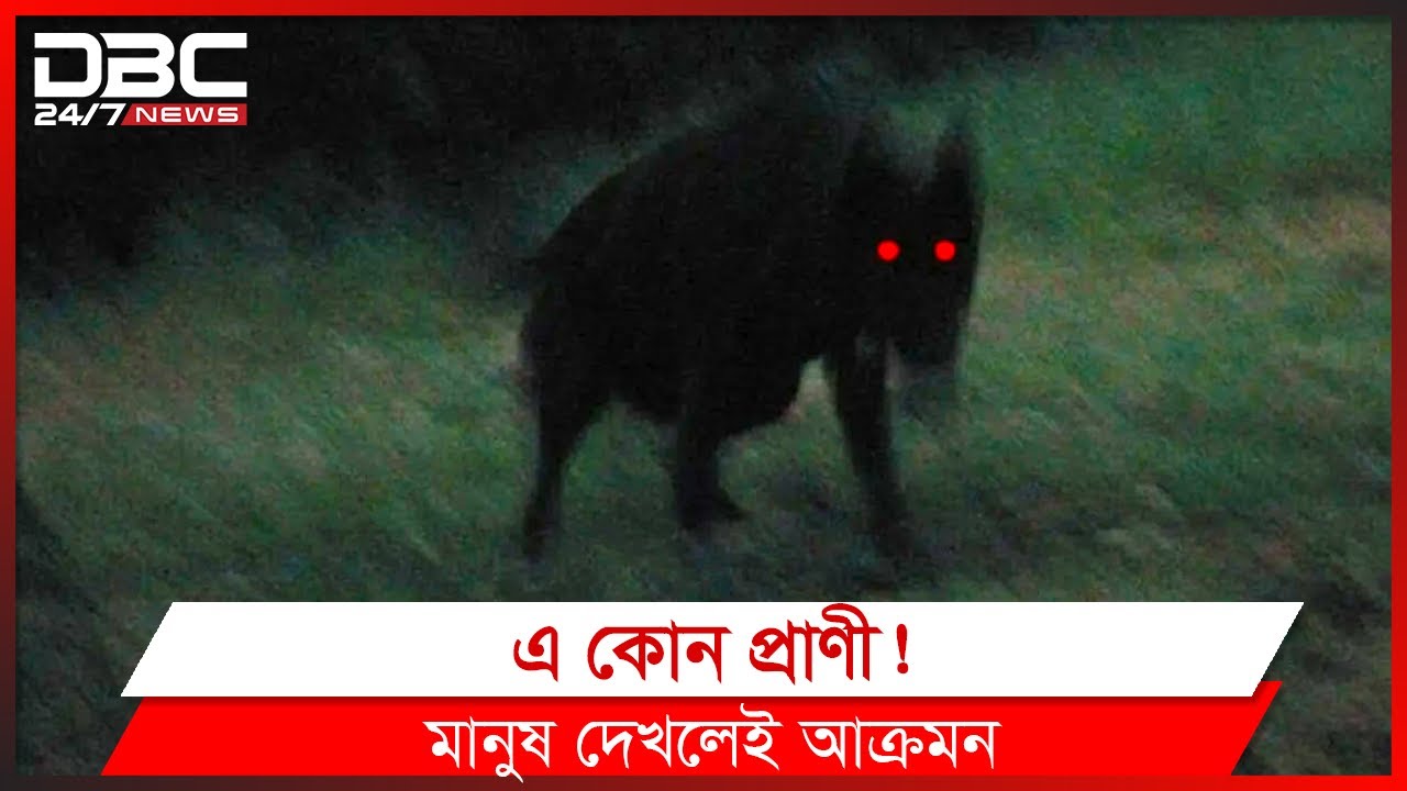 এক অচেনা প্রাণীর ভয়ে গ্রামবাসি