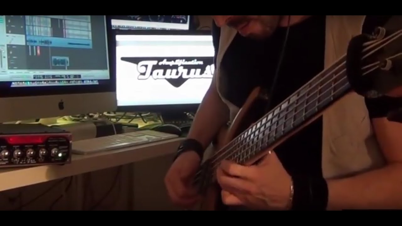TAURUS Qube-450 & WARWICK Infinity NT 5 - [DEMO by LUIS GOMEZ]