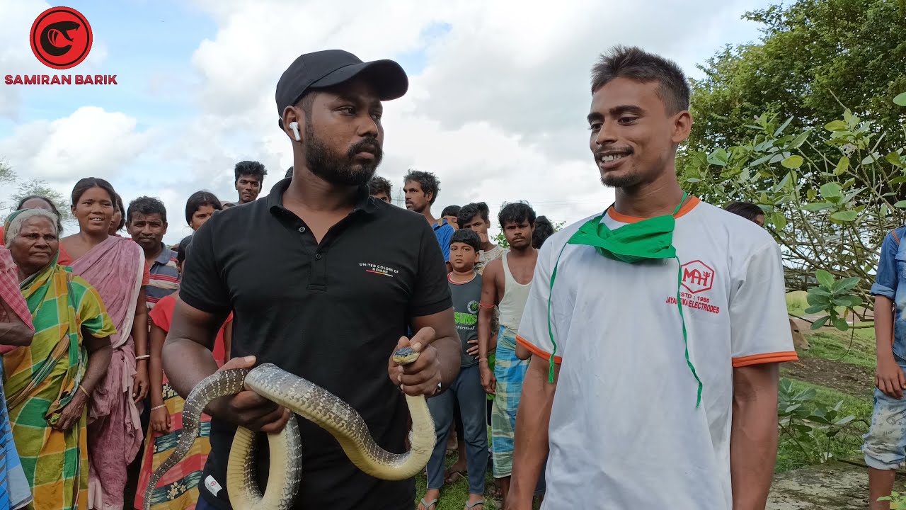এই সাপটি আগে কখনো দেখেছেন কি❓সিন্ধু কালাচ| সাধারণ কালাচ সাপের থেকেও বহুগুণ বেশি বিষধর|