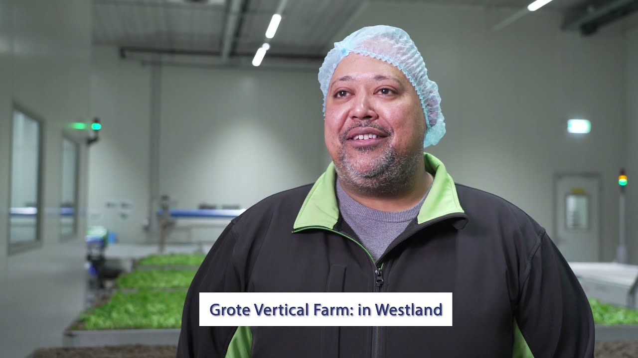 Voor Future Crops zoeken wij een Productiemanager – Floormanager Vertical Farming