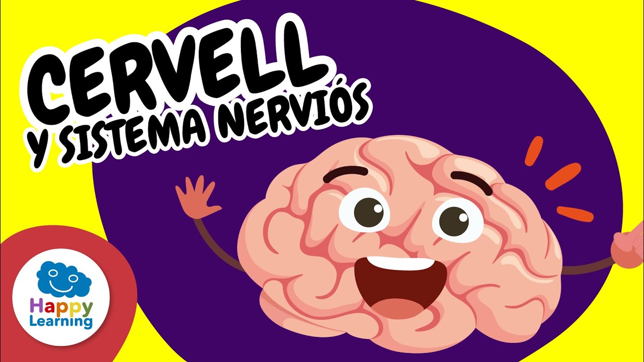 🧠✨ El cervell i el sistema nerviós | Vídeos educatius per a nens | @HappyLearningCAT
