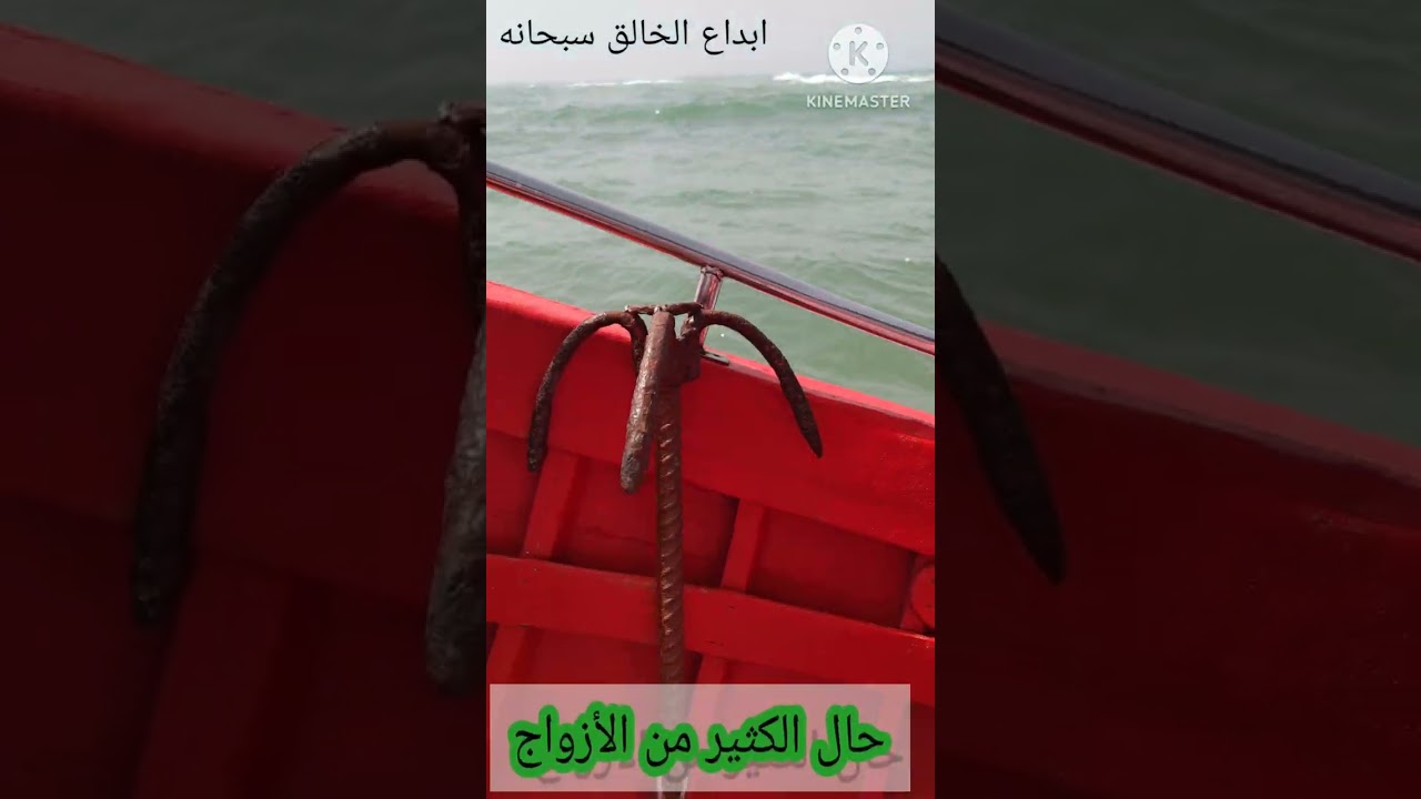 حال الكثير من الأزواج 