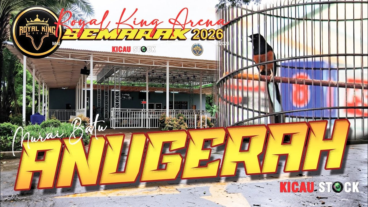 Murai Batu ANUGERAH Juara 1 Tiket 770