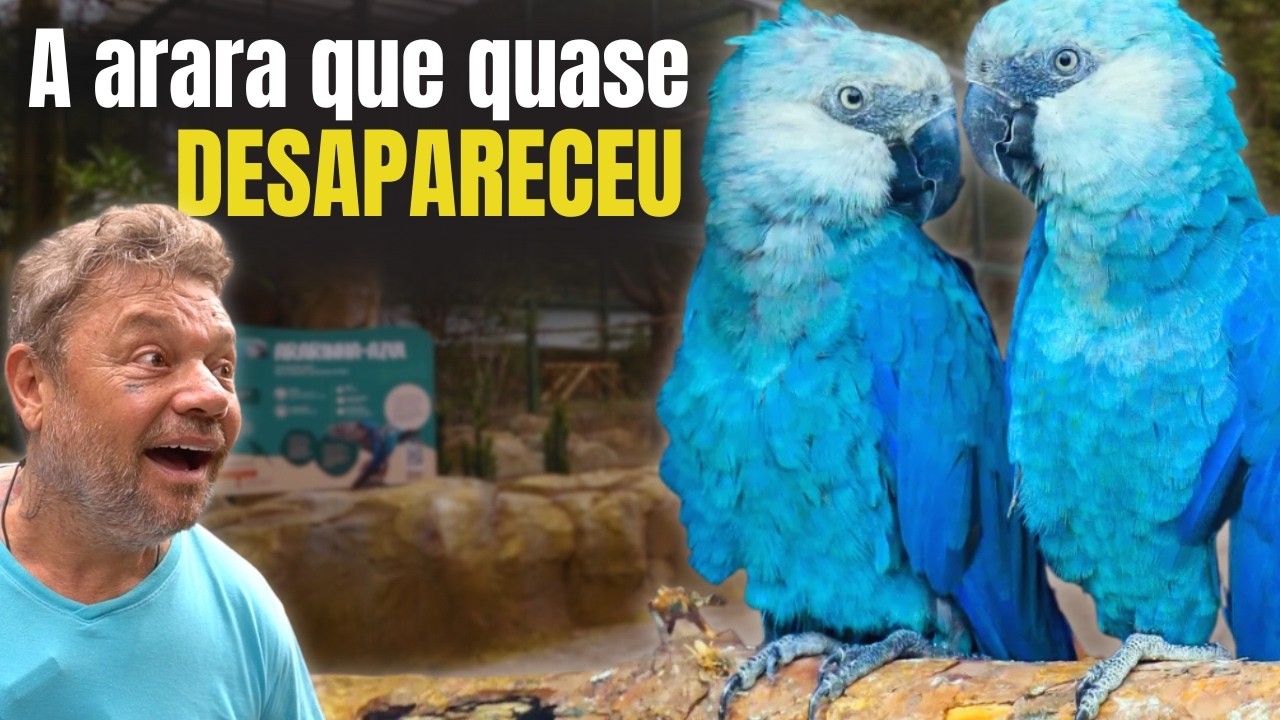 O SEGREDO ESCONDIDO NO ZOOLÓGICO! OLHA ISSO! 😱