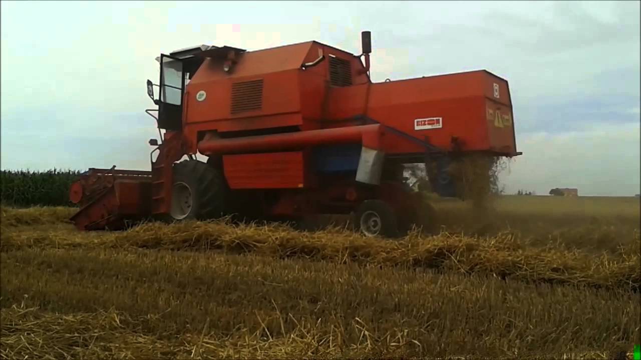 Żniwa 2015  Bizon Rekord Z058 dźwięk silnika