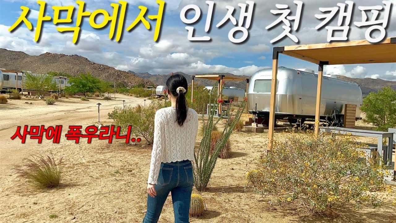 🇺🇸힐링캠프인줄 알았는데 극한캠프였던 🫠 조슈아트리 숙소 추천. 미국 과자 추천⭐️ 혼돈의 장보기