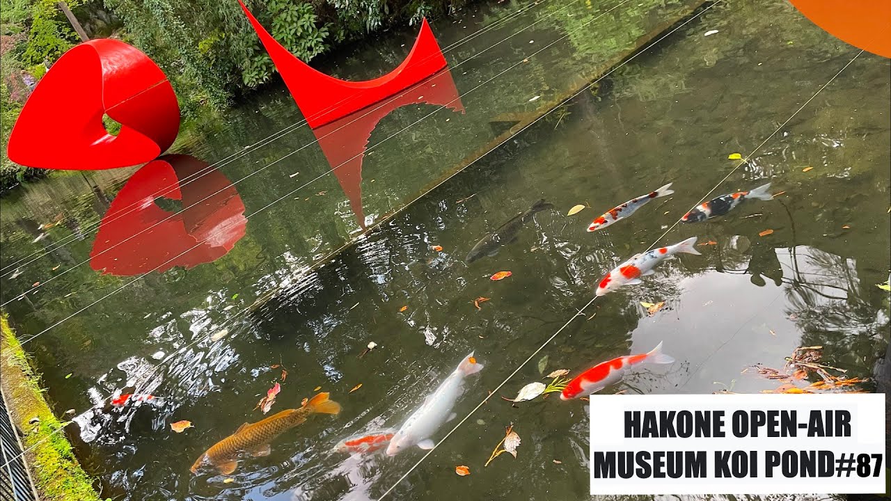 HAKONE OPEN-AIR MUSEUM KOI POND 彫刻の森美術館 鯉池 (HAKONE, KANAGAWA, JAPAN)